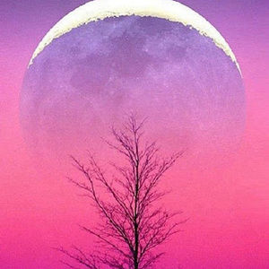 Meet your Posher, Hailey